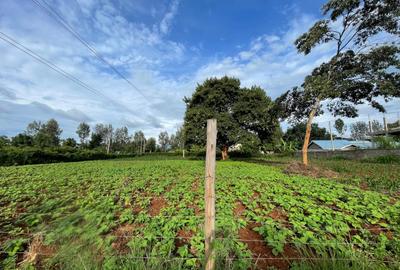 0.5 ac Residential Land in Nyeri