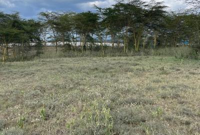 139 ac Land in Naivasha - 3