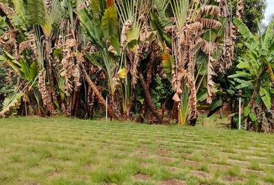 Land at Maji Mazurii