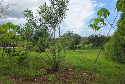 0.5 ac Land at Muthaiga North