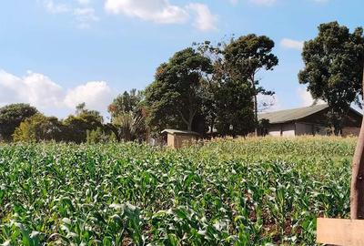 2 ac Land at Off Tigoni - Kabuku Rd - 3