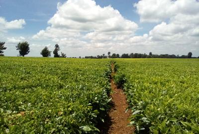 Land at Kiambu Rd