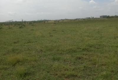 Land in Juja Farm