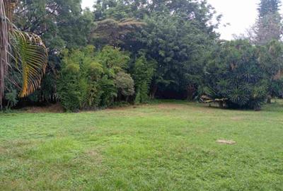 4.9 ac Commercial Land in Kilimani