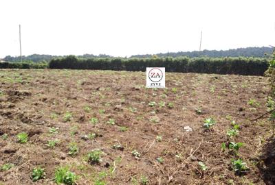 2.5 ac Land at Lari