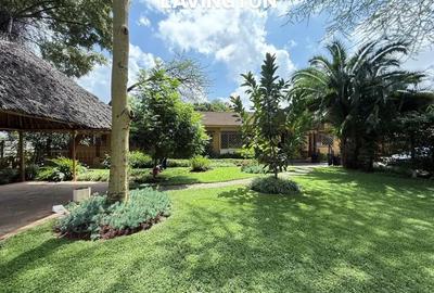 Commercial Property with Backup Generator in Lavington - 3