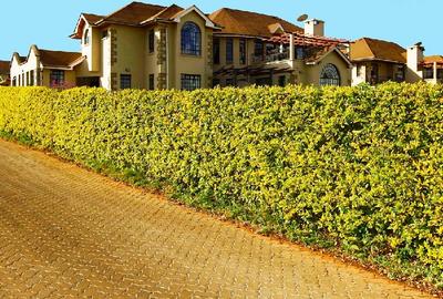 4 Bed Villa with En Suite in Runda - 4