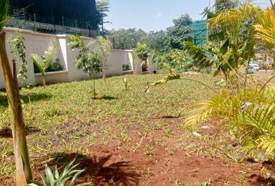 3 Bed Apartment at Two Rivers Mall - 2