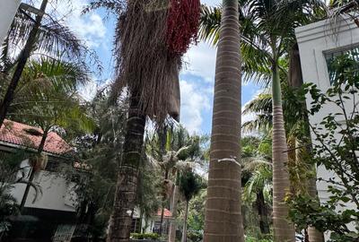 2 Bed Apartment with En Suite at Karen - 4