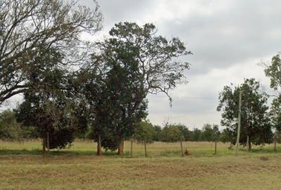 10,000 ft² Land at Phase 1 - 2