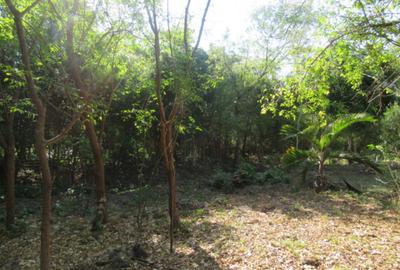 Land at Off Diani Beach Rd - 4