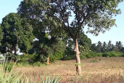 32,376 m² Residential Land in Mtwapa