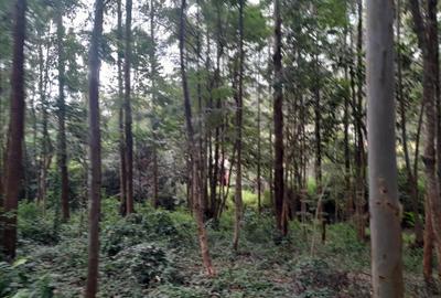 0.5 ac Residential Land at Old Kitisuru - 4