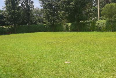 3 Bed House with En Suite at Tigoni Road - 2