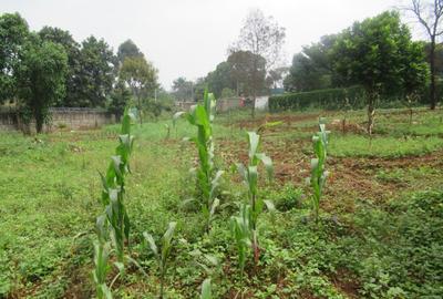 Land at Off Pan African Insurance Avenue