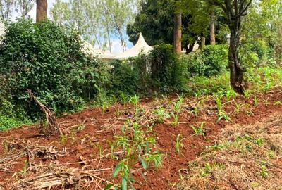 1 ac Land at Muchatha