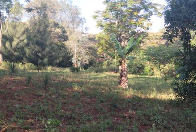 Residential Land at Hardy - 4