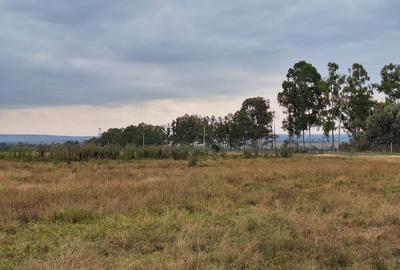 700 ac Land at Bisil