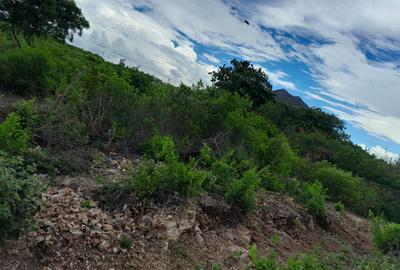 Land in Malindi