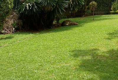 Land in Ngong Road