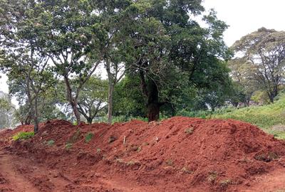 Land in Karen - 2