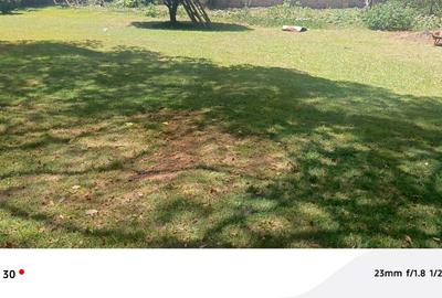 Land in Lavington - 4