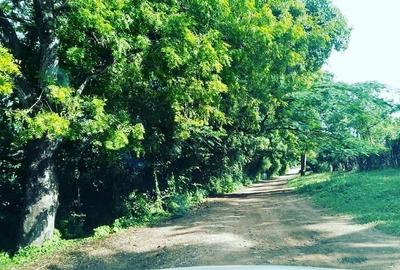 Residential Land in Nyali Area