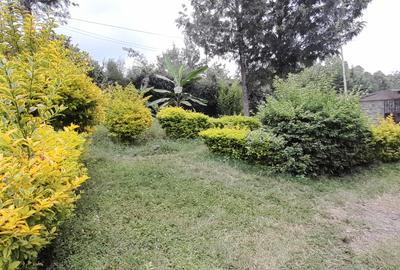 Residential Land at Kamura