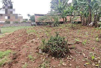 0.5 ac Land in Thome - 3