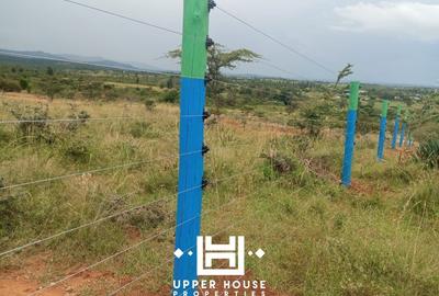 0.125 ac Land at Muramati - 4