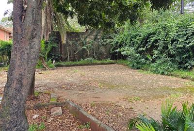 Land in Upper Hill