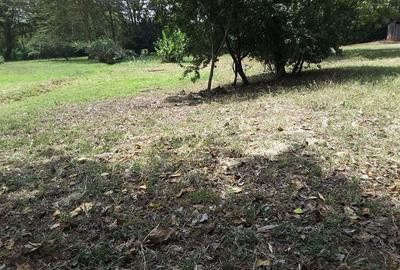 4,047 m² Residential Land in Karen