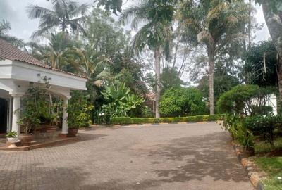 Commercial Property with Parking in Gigiri