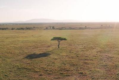 30 ac Land at 📍Lemek Maasai Mara