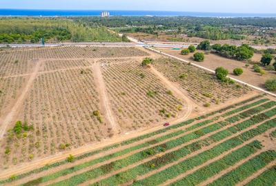 0.125 ac Land at Vipingo - 4