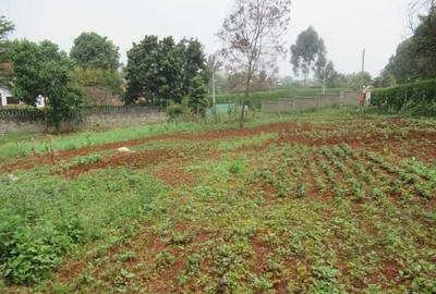 Residential Land at Runda