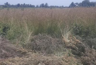 Residential Land at Riverside
