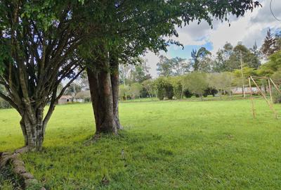 5 ac Land in Karen - 4