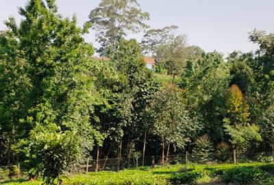 0.75 ac Land at Riara Ridge Area