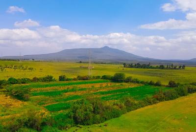 Residential Land in Naivasha - 4