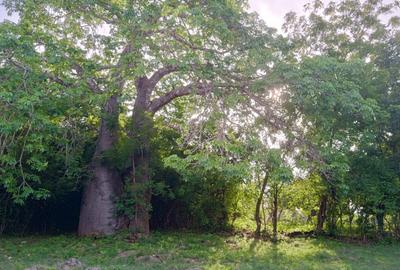 90 ac Residential Land at Kuruwitu-Vipingo - 2