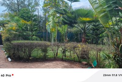 4 Bed House with En Suite in Karen - 2