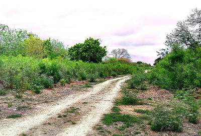 2,010 m² Residential Land at Second Row Kuruwitu Beach - 4