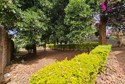 2 Bed House with En Suite in Kitisuru - 2