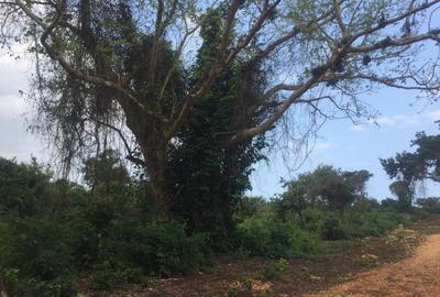 Land in Diani