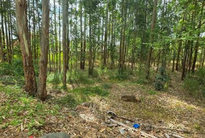 0.5 ac Land in Ridgeways - 2