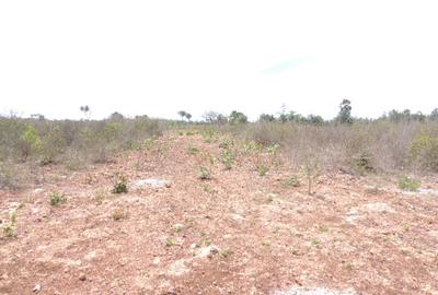 0.25 ac Residential Land at Diani Beach Road