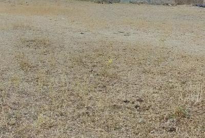 39 ac Land in Malaa - 2