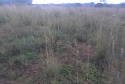 0.5 ac Land in Ongata Rongai - 2