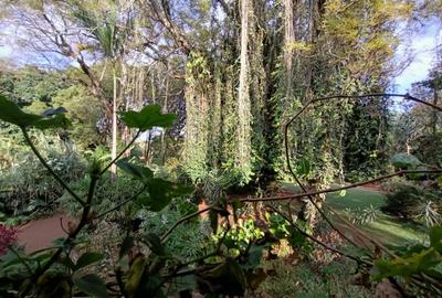 0.5 ac Land in Westlands Area - 3